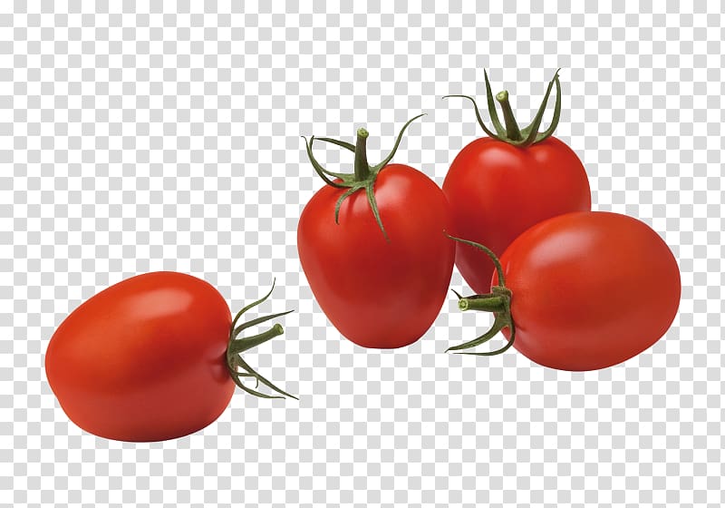 Plum tomato Vegetable Food Roma tomato Fruit, tomato sauce transparent background PNG clipart