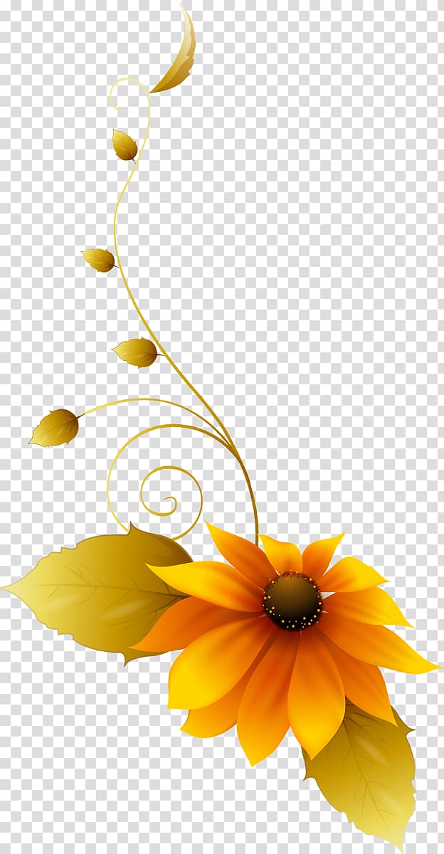 Common sunflower Floral design Still life Cut flowers, design transparent background PNG clipart