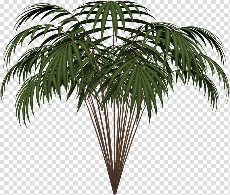 Plant Microsoft Paint , tropical flower transparent background PNG clipart