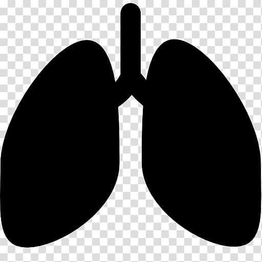 Lung Computer Icons, lungs transparent background PNG clipart