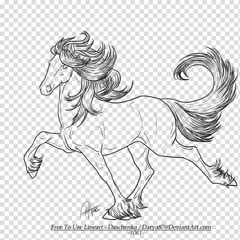 Pony Icelandic horse Line art Drawing Sketch, horsehead printing transparent background PNG clipart