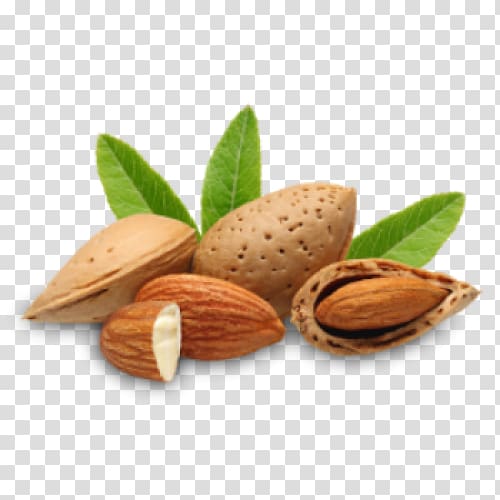 almond nuts, Almond oil Carrier oil Almond milk, almond transparent background PNG clipart