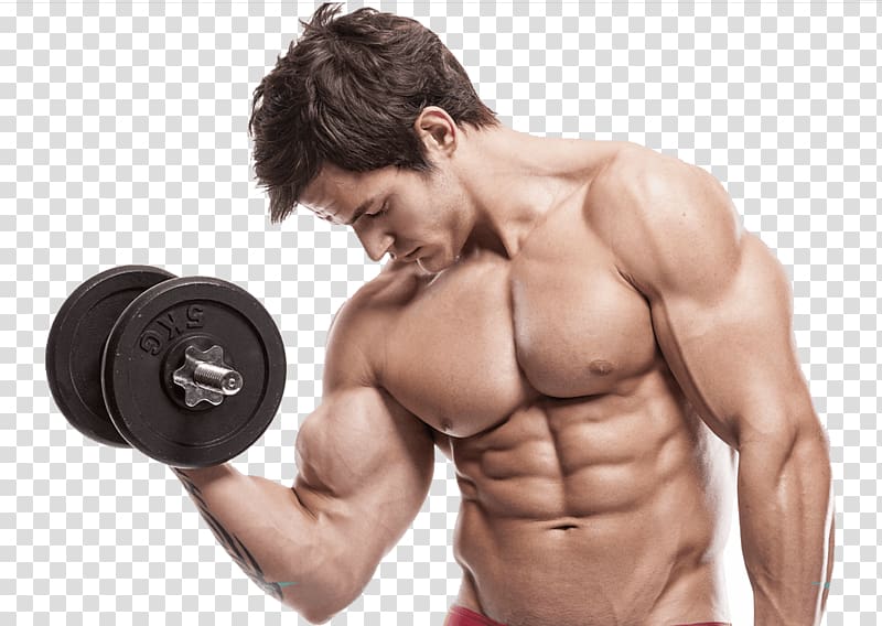 man holding black dumbbells, Bodybuilding Body Builders Gym Physical exercise Physical fitness Bench, Hantel transparent background PNG clipart