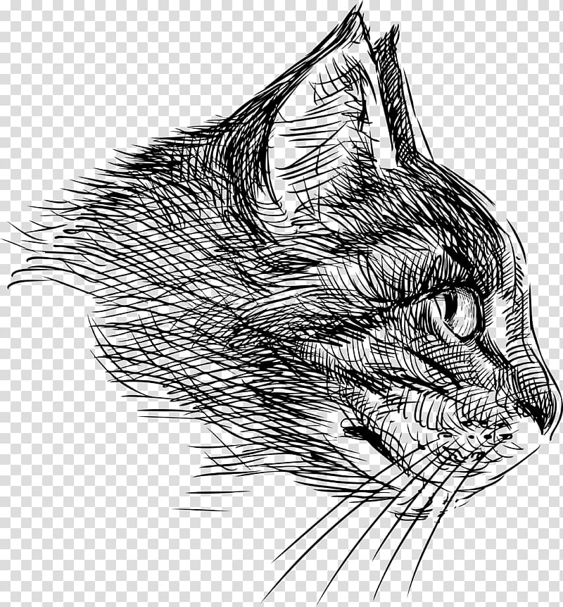 Cat Drawing, cat head transparent background PNG clipart