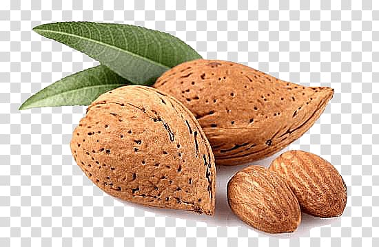 brown nuts, Almond Small Group transparent background PNG clipart