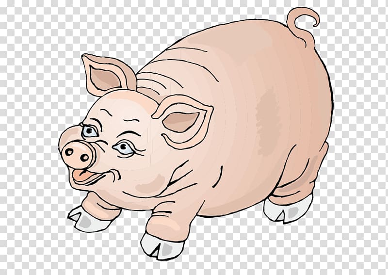 Domestic pig Cartoon Drawing , Hand-painted pig cartoon transparent background PNG clipart