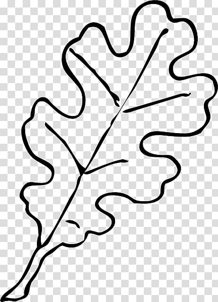 Drawing White oak Leaf , leaves black and white transparent background PNG clipart