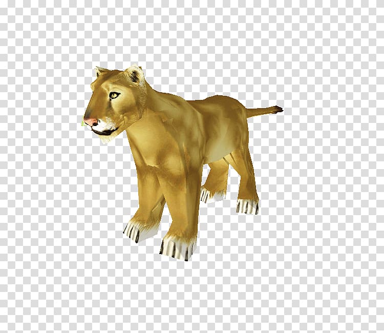 Big cat Terrestrial animal Wildlife, Cat transparent background PNG clipart