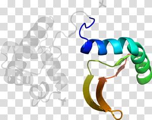 Organism , design transparent background PNG clipart thumbnail