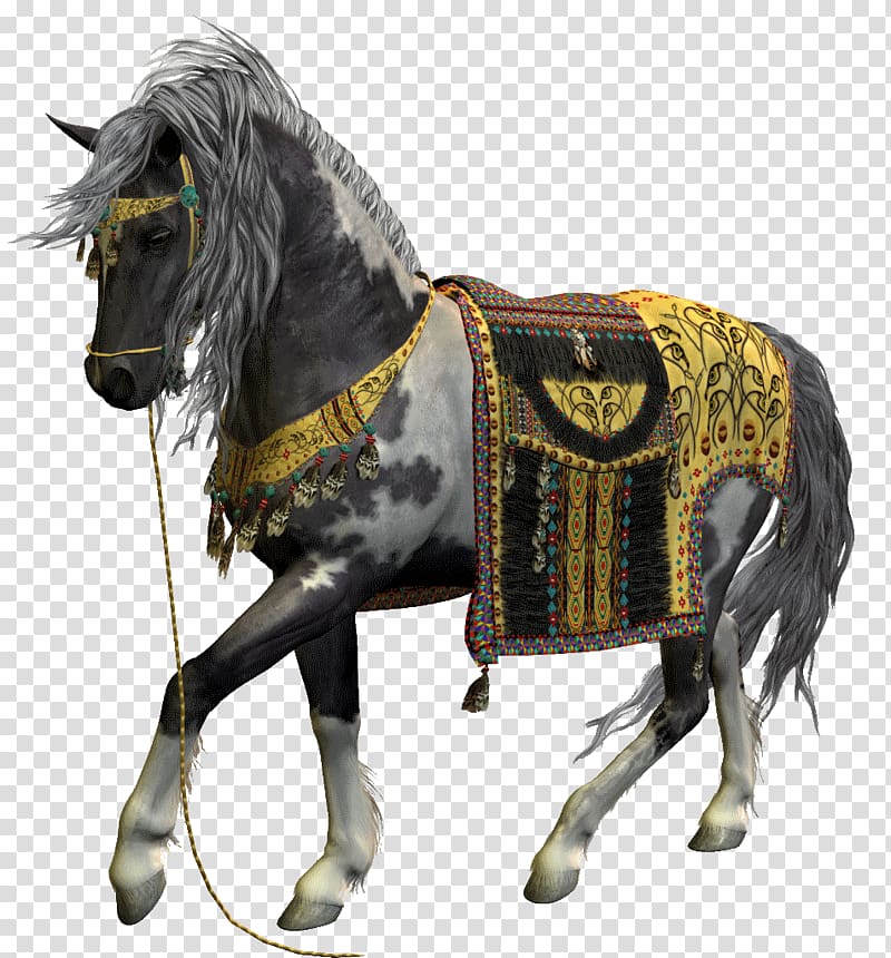 Konik Stallion Pony , 7 Horse transparent background PNG clipart