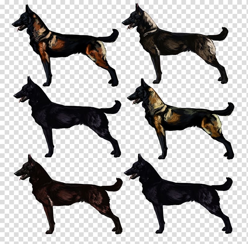 Malinois dog Australian Kelpie German Shepherd Dog breed Working dog, others transparent background PNG clipart