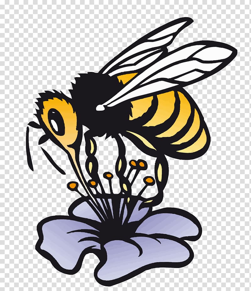 Honey bee Jabot Beekeeping , bee transparent background PNG clipart