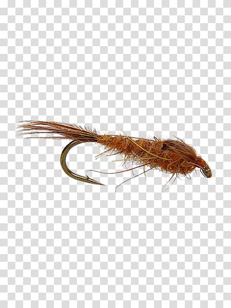 Pheasant Tail Nymph Fly fishing Rhithrogena germanica Holly Flies, others transparent background PNG clipart