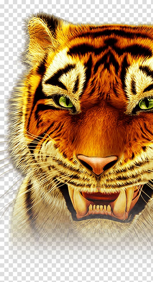 Black tiger Whiskers Slot machine Roar, tiger transparent background PNG clipart
