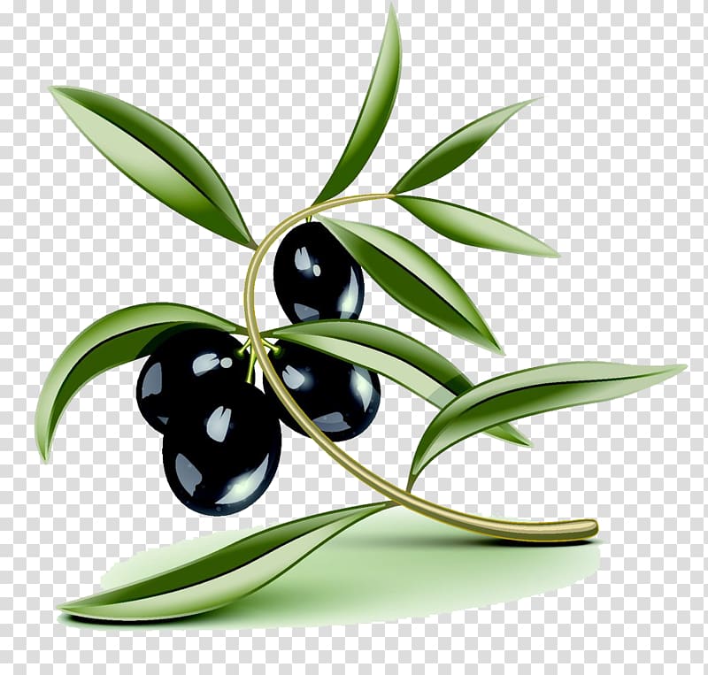 Olive oil Illustration, Cartoon Olive transparent background PNG clipart