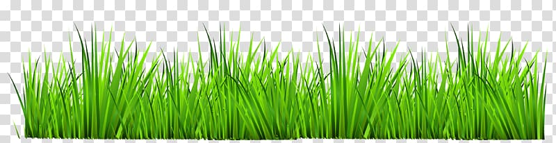 clip art grass border