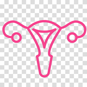 Uterus And Fallopian Tube Inside Woman Body Outline - Icon Uterus Png -  Free Transparent PNG Download - PNGkey