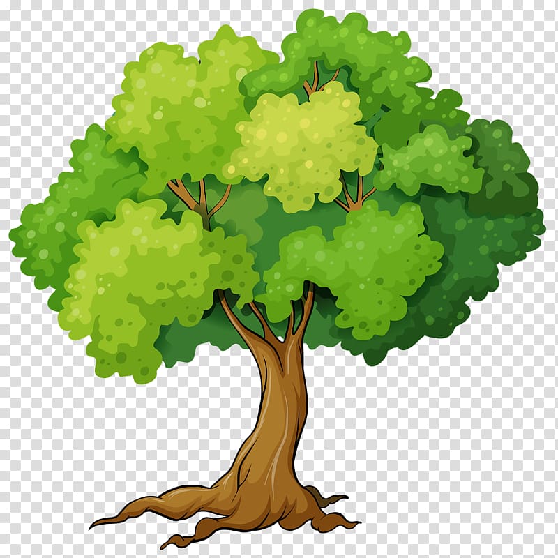 Tree graphics Illustration Book, tree transparent background PNG clipart