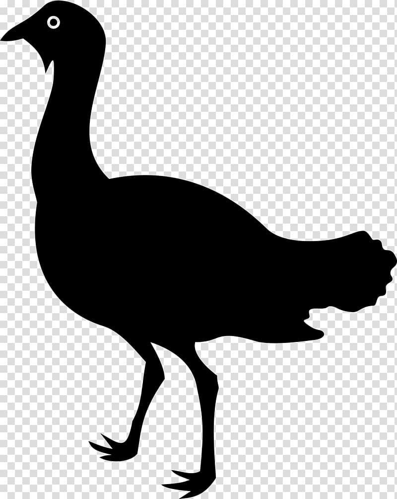 Bird Goose Duck Silhouette , small animal transparent background PNG clipart