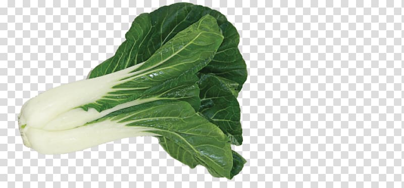 Chard Choy sum, Bok Choy transparent background PNG clipart