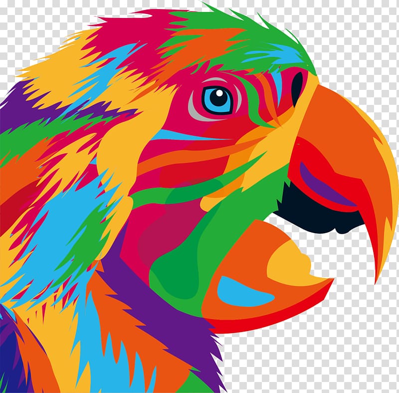 Parrot Bird Drawing Illustration, Personality graffiti eagle head portrait transparent background PNG clipart