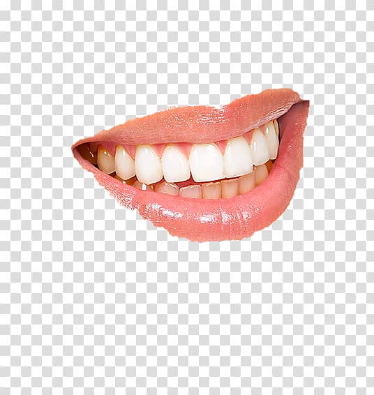 Tooth Dentistry Endodontics Oral and maxillofacial surgery, dental smile transparent background PNG clipart