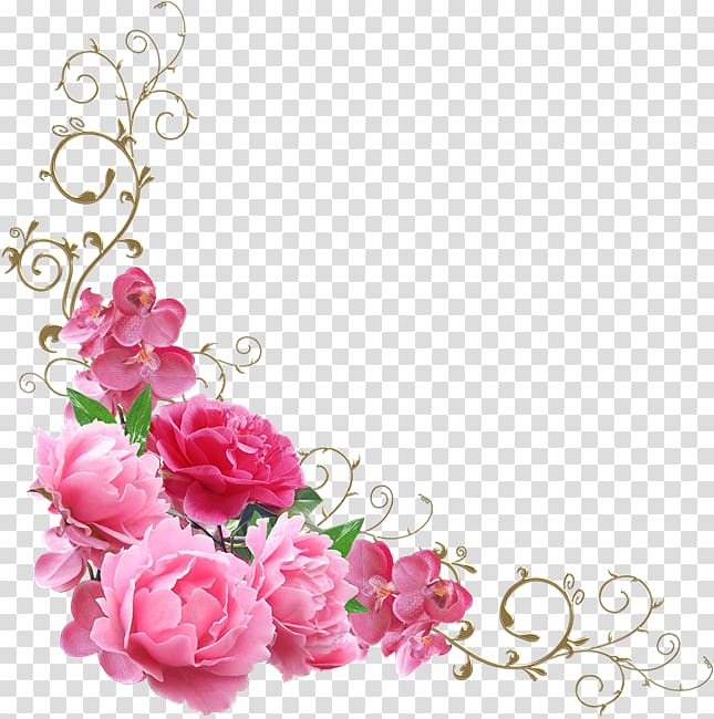 Garden roses Sticker Label Novohrad-Volyns'kyi Medychnyy Koledzh Adhesive tape, esquinas transparent background PNG clipart