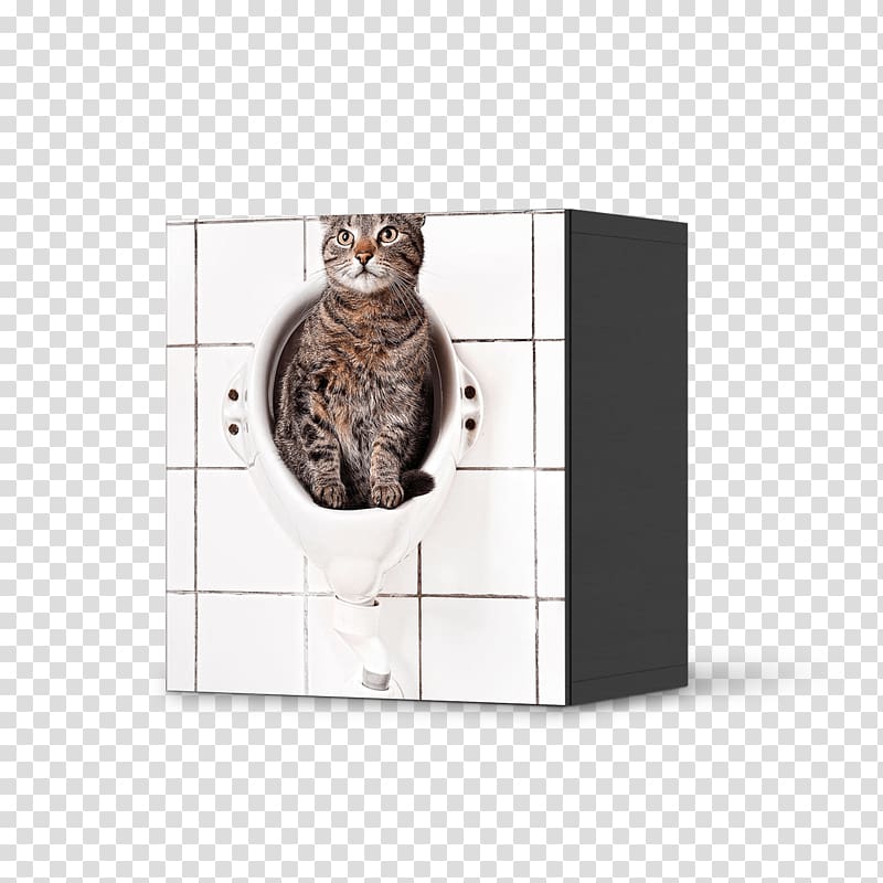 Armoires & Wardrobes IKEA Door Furniture Cat Litter Trays, door transparent background PNG clipart