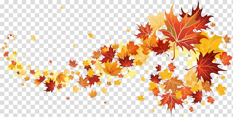maple leaves illustration, Autumn , autumn leaves transparent background PNG clipart
