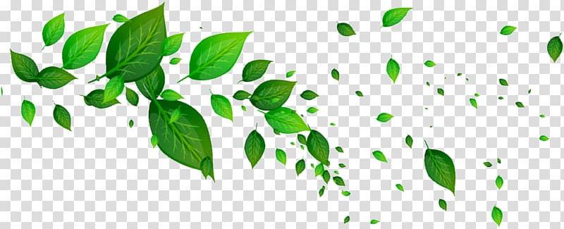 green leaves , Leaf Green, Green leaves transparent background PNG clipart