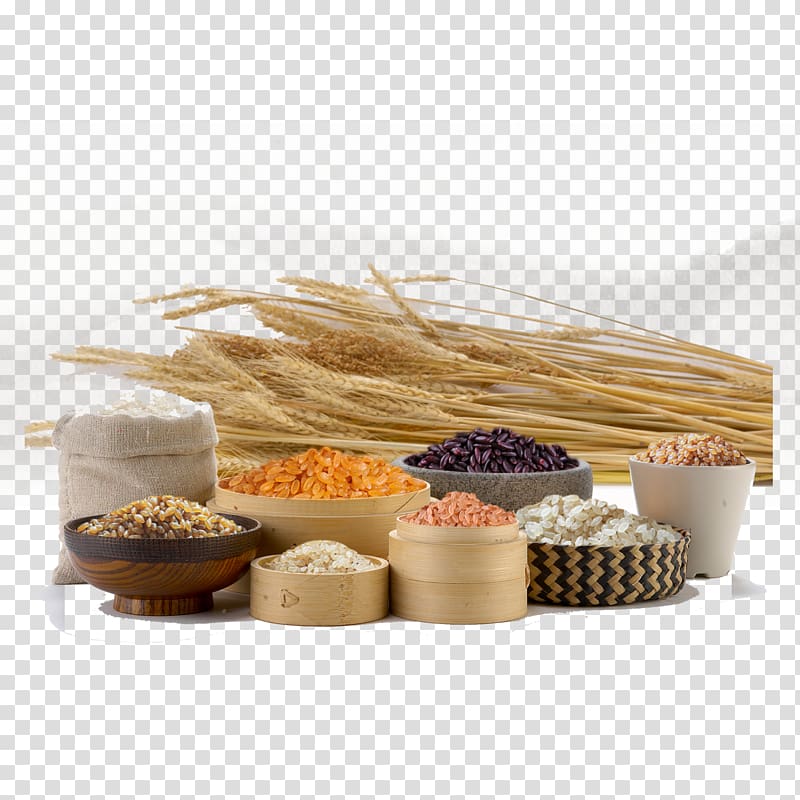 Nutrient GREENWORLD IKEJA NIGERIA Cereal Meal Mill, Health transparent background PNG clipart