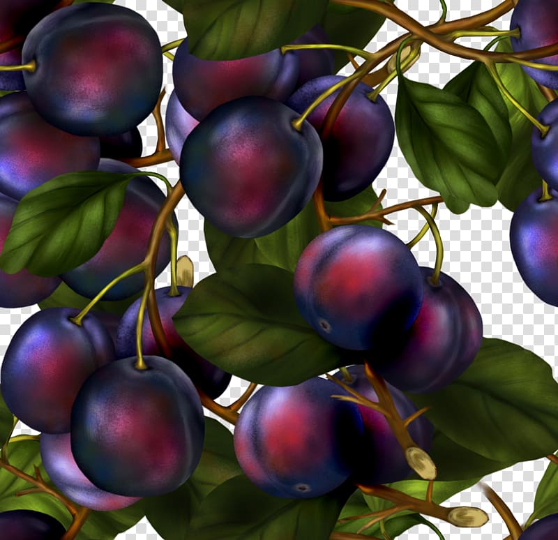 Damson Grape Auglis Fruit, grape transparent background PNG clipart