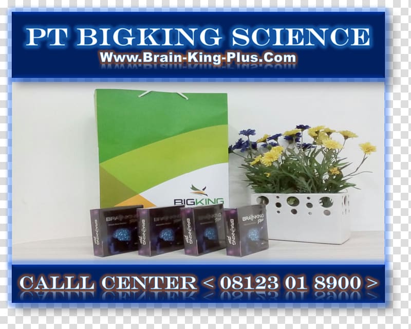 BRAINKING PLUS INDONESIA Nutrition Nerve Science, SURABAYA transparent background PNG clipart