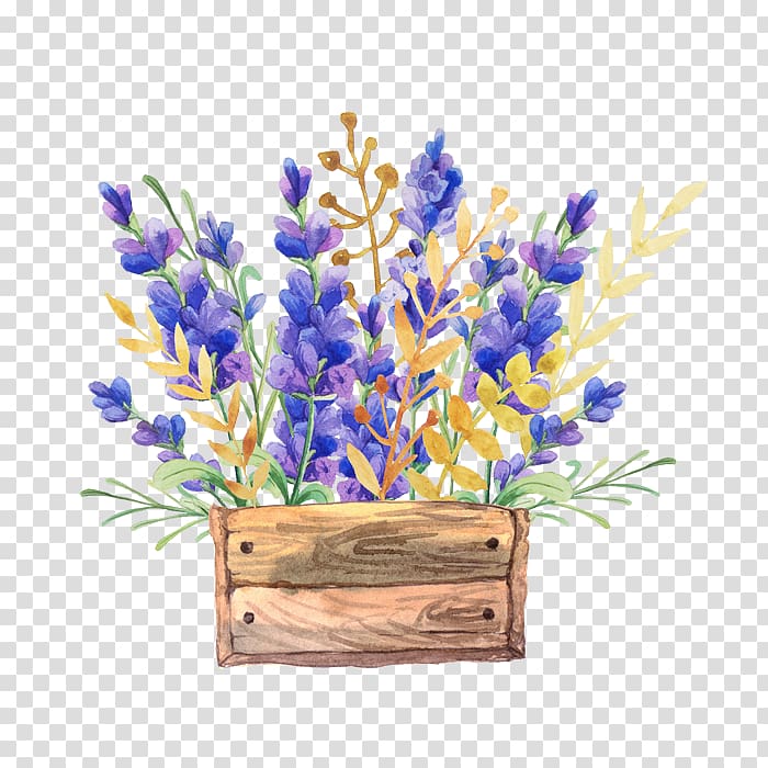 purple petaled flowers on brown wooden pot illustration, English lavender Watercolor painting Flower Drawing Box, Watercolor flower baskets transparent background PNG clipart