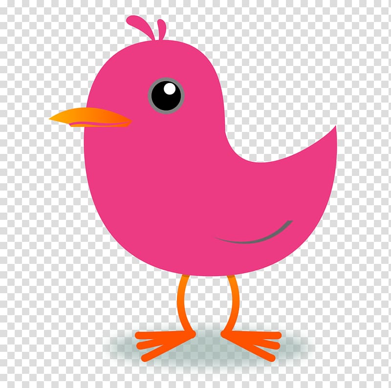 Bird Northern cardinal , Tweet transparent background PNG clipart