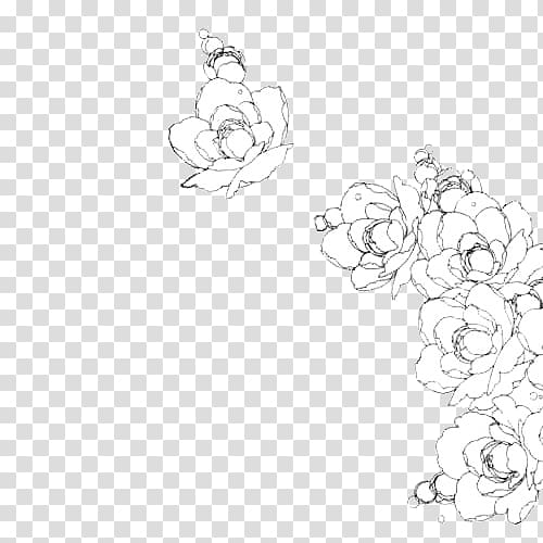 Line art Manga Anime Sketch, collection petals transparent background PNG clipart