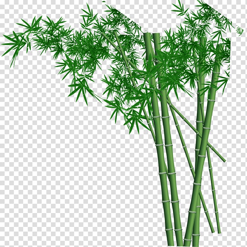 Wall Bamboo Fundal , bamboo transparent background PNG clipart