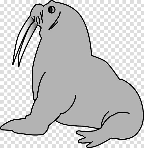 Elephant seal Harp seal , others transparent background PNG clipart