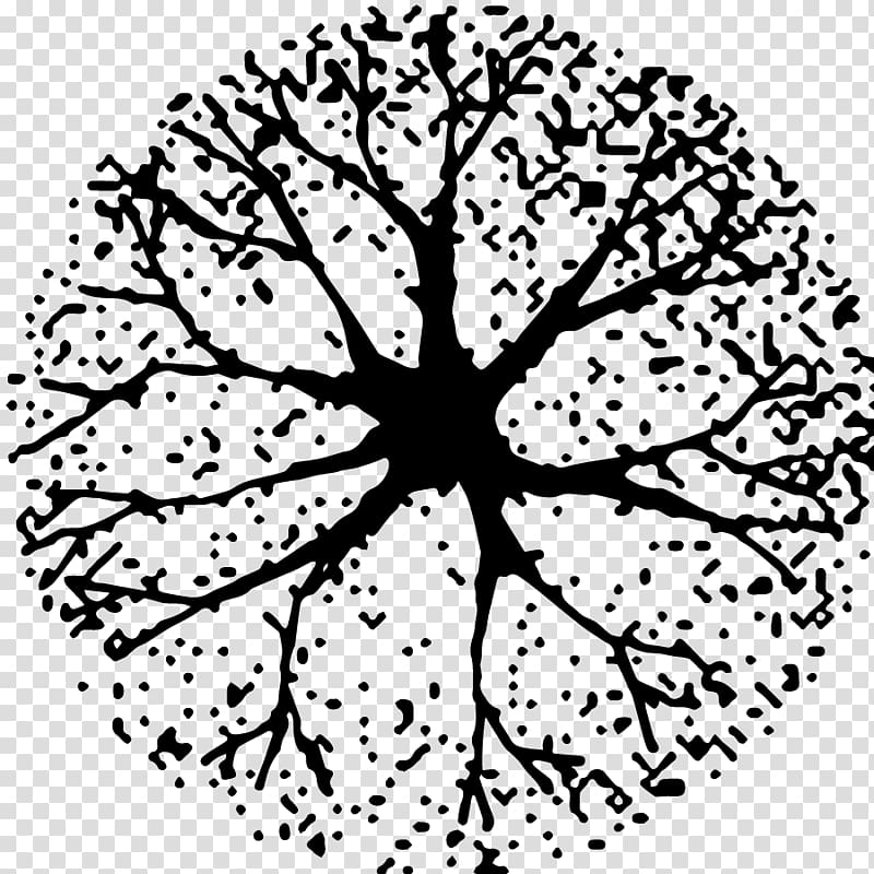 Tree Black and white Woody plant , tree plan transparent background PNG clipart