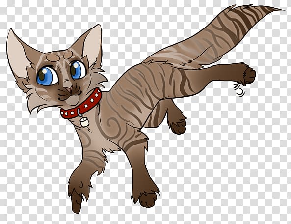Kitten Whiskers Cat Dog Canidae, HOT CHOCLATE transparent background PNG clipart