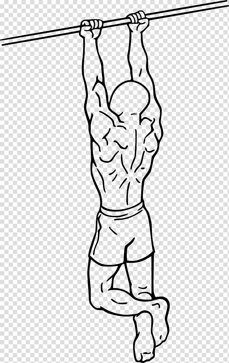 Chin-up Pull-up Biceps curl Exercise, creative chin transparent background PNG clipart