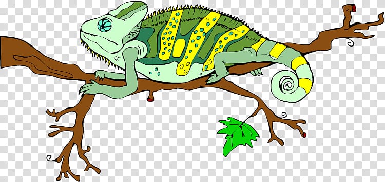 Lizard Chameleons Reptile Portable Network Graphics, blue gecko transparent background PNG clipart