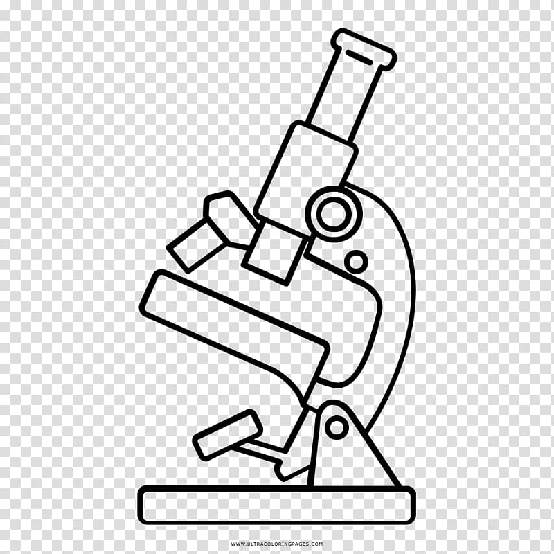 Drawing Microscope Line art Coloring book, ear transparent background PNG clipart