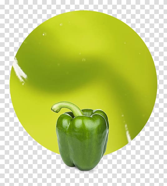 Yellow pepper Bell pepper Vegetable Purée Fruit, vegetable transparent background PNG clipart