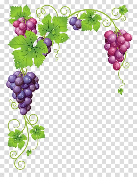 Grapevines Wine , garden elements transparent background PNG clipart