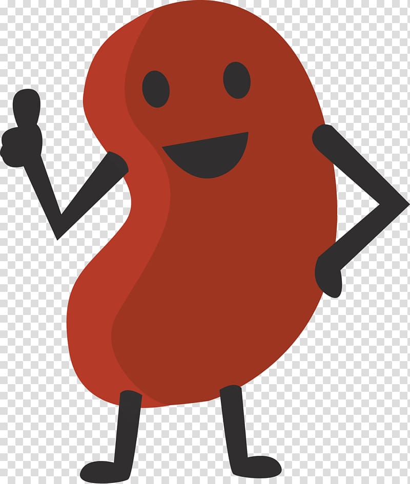 red bean , Kidney bean Cartoon , kidney transparent background PNG clipart