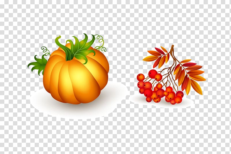 Thanksgiving , pumpkin transparent background PNG clipart