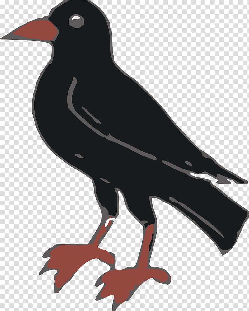 Common raven Crow , Black Crow transparent background PNG clipart