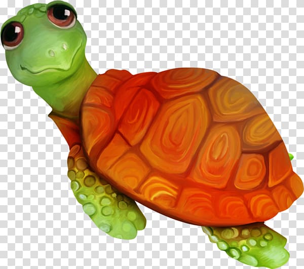 Sea turtle Tortoise Emydidae, Cartoon animals crawl small turtle transparent background PNG clipart