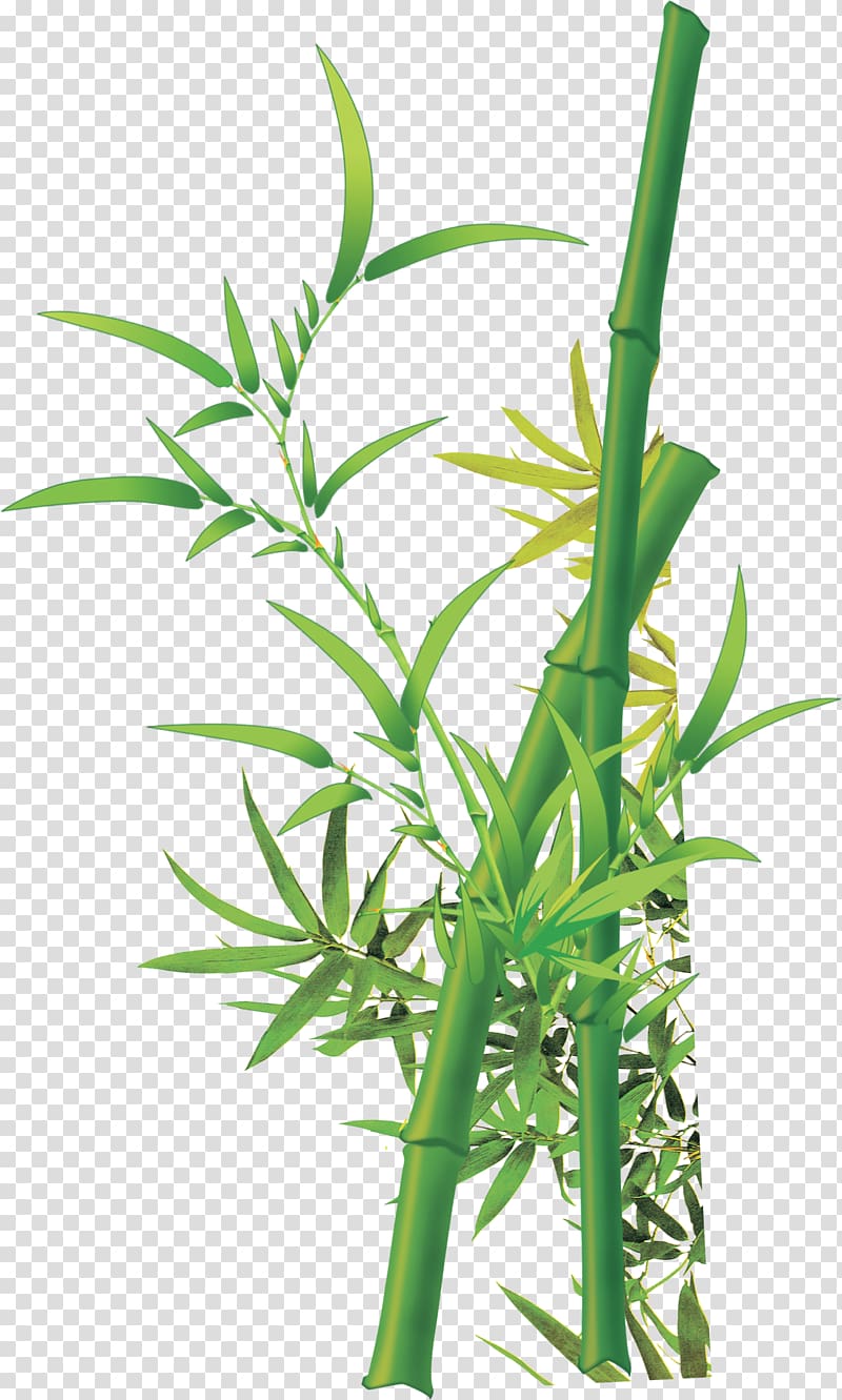 Bamboo Fukei Chinese painting, Green Bamboo transparent background PNG clipart